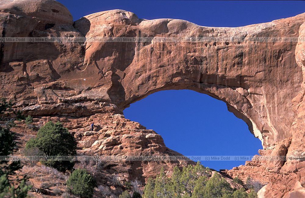 Window arch Arches national park Utah