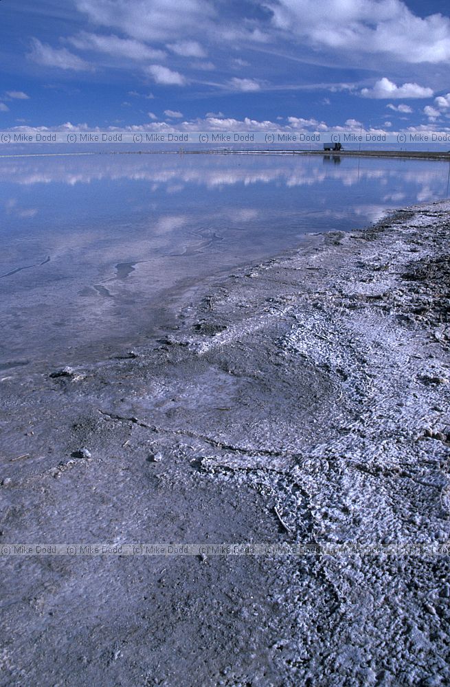 Bonneville salt flats Great salt lake Utah