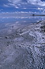 Bonneville salt flats Great salt lake Utah