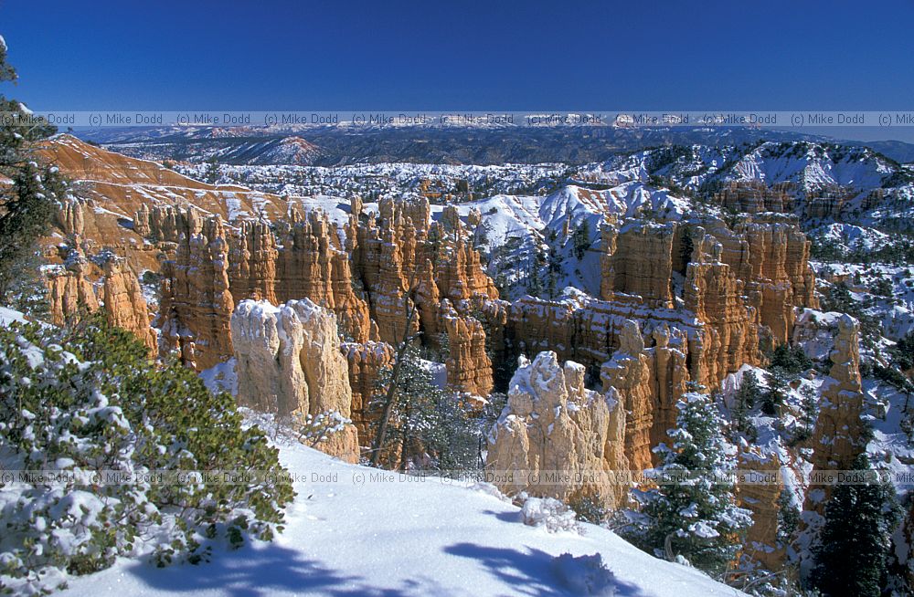 Bryce canyon National park Utah with snow