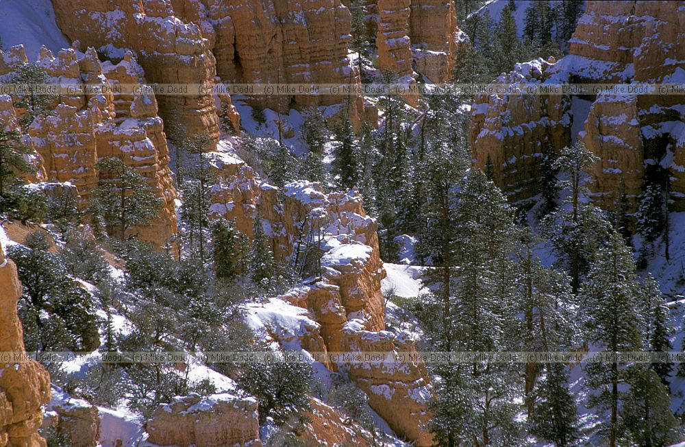 Bryce canyon National park Utah with snow