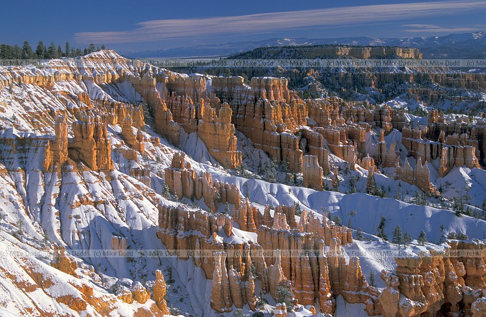 Bryce canyon National park Utah with snow