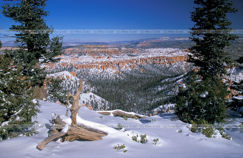 Bryce canyon National park Utah with snow