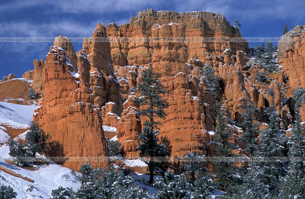near Bryce canyon with snow Utah