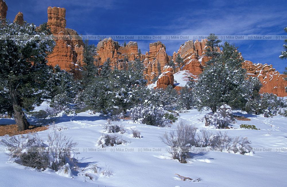 near Bryce canyon with snow Utah