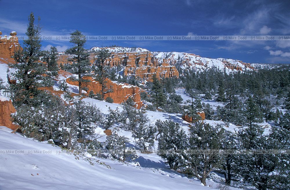 near Bryce canyon with snow Utah