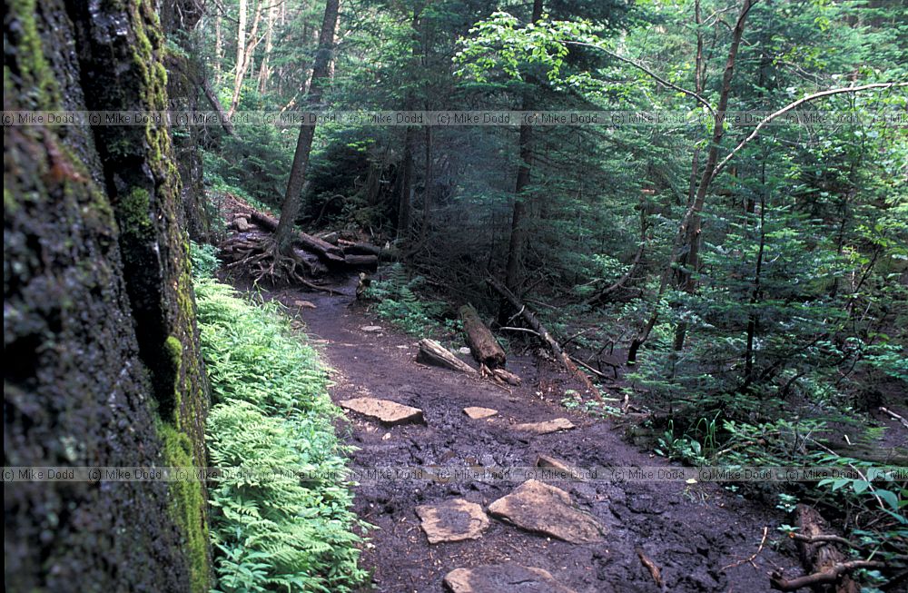 Avalanche pass Adirondacks New York state