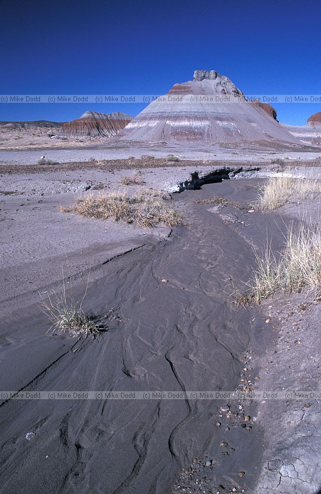 Painted desert Arizona