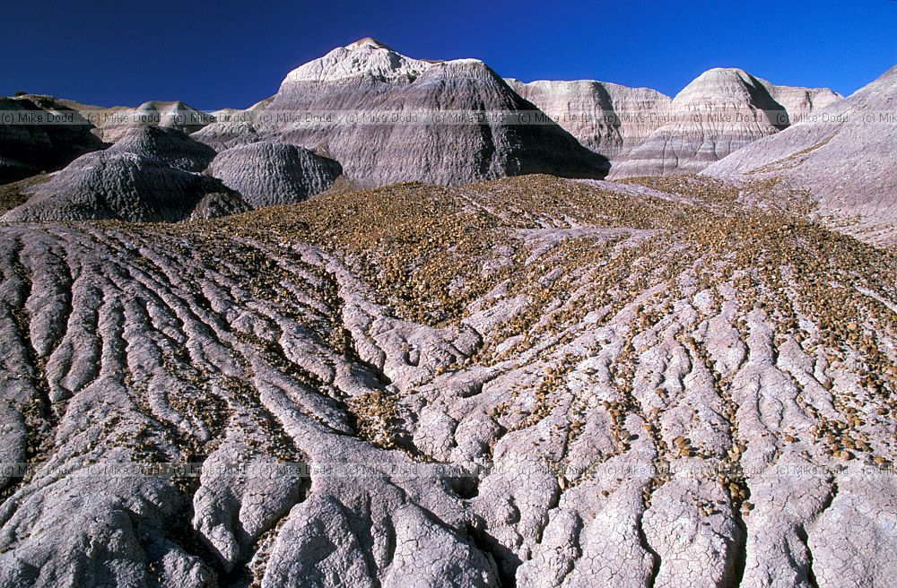 Painted desert Arizona