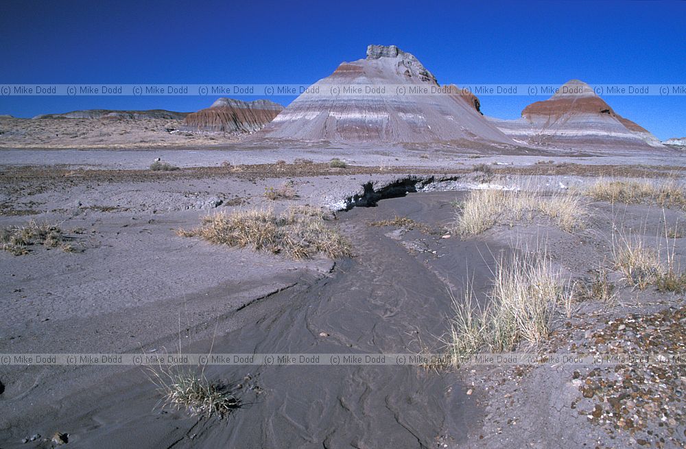 Painted desert Arizona