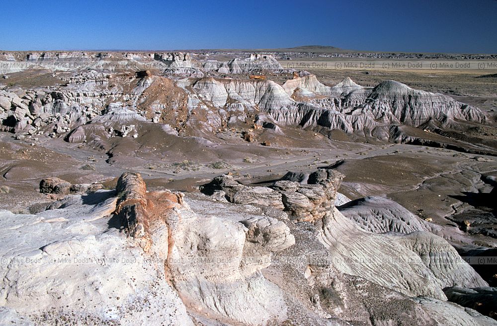 Petrified wood at petrified forest National Park Arizona