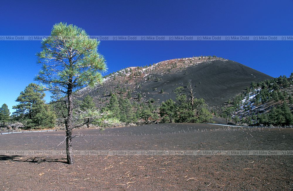 Sunset crater Arizona