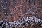 Zion national park Utah with snow