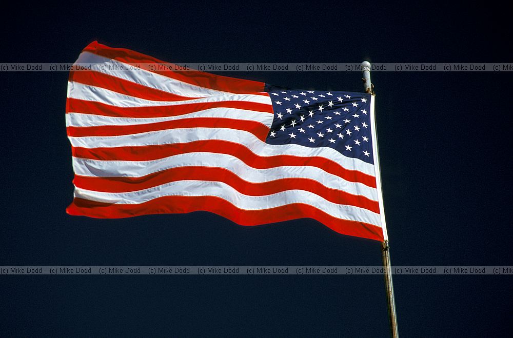 American flag Everglades Florida