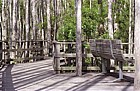 Walkway Corkscrew sanctuary Everglades Florida