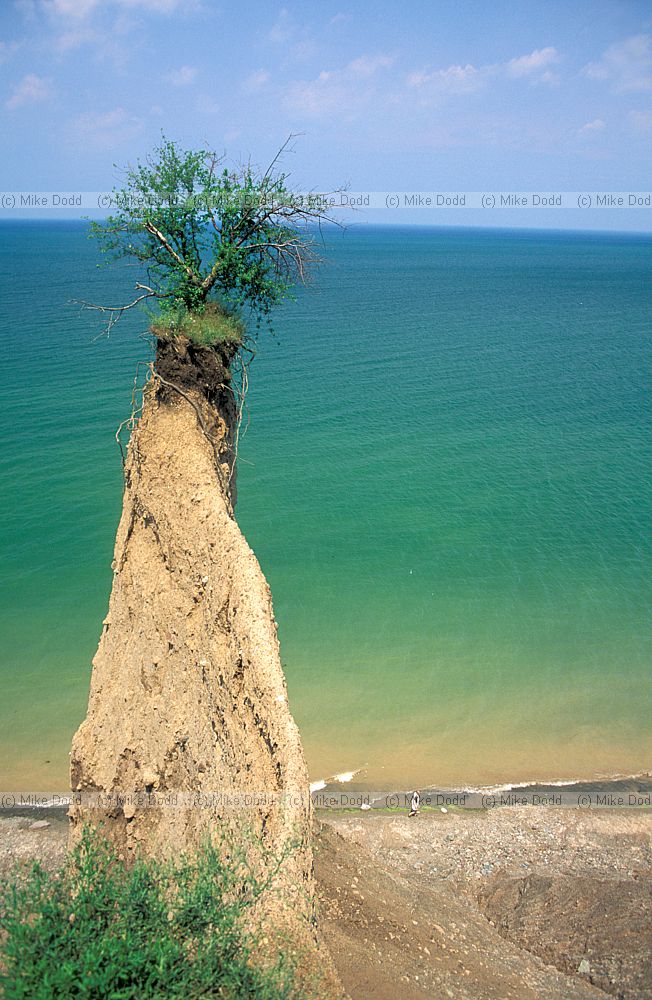 Erosion on lakeshore near Sodus point lake Ontario NY