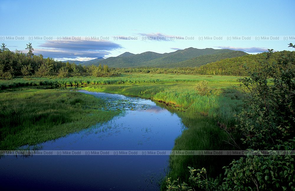 Near Saranac lake Adirondacks NY