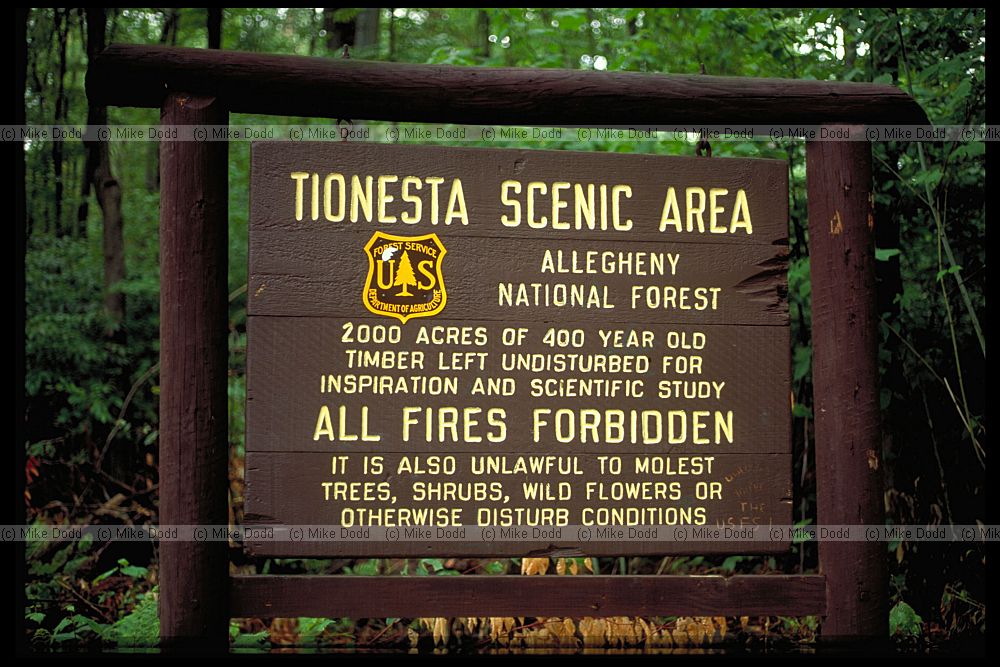 Tionesta sign Allegheny national forest