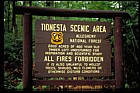 Tionesta sign Allegheny national forest