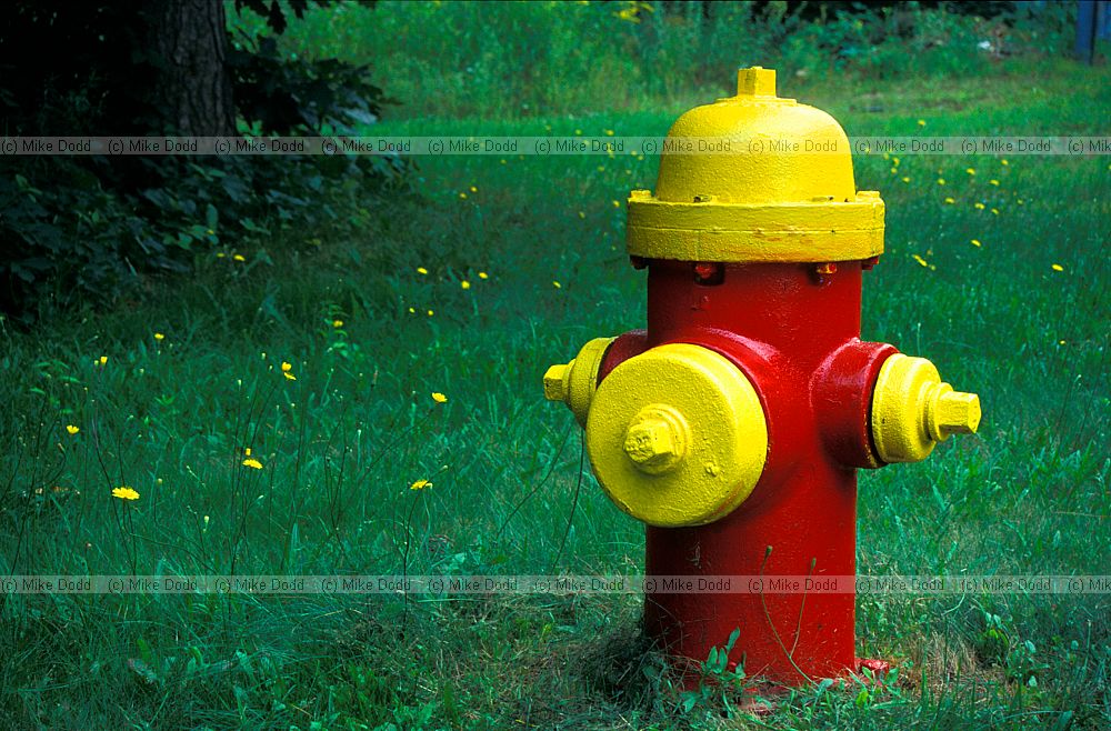 Fire hydrant
