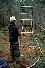 Molly erecting scaffolding in forest Whiteface mountain Adirondacks New York state