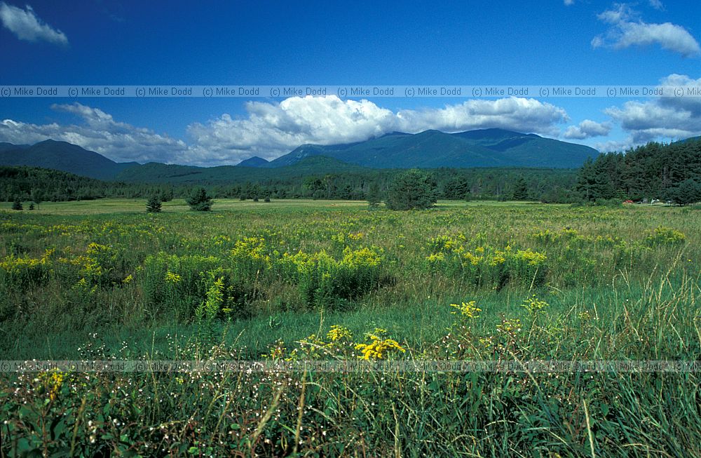 Old field and Whiteface mountain Adirondacks New York state