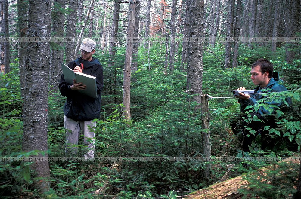 Will and Mark working in forest Whiteface mountain Adirondacks New York