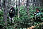 Will and Mark working in forest Whiteface mountain Adirondacks New York