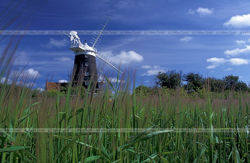 Burnham overy tower mill Norfolk