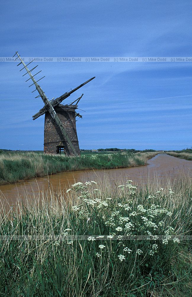 Derelict Brograve Mill windpump near Horsey Norfolk