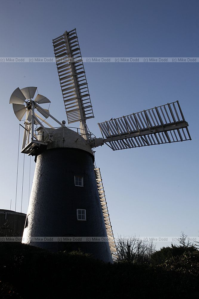 Fosters Mill Swaffham Prior Cambridgeshire tower mill