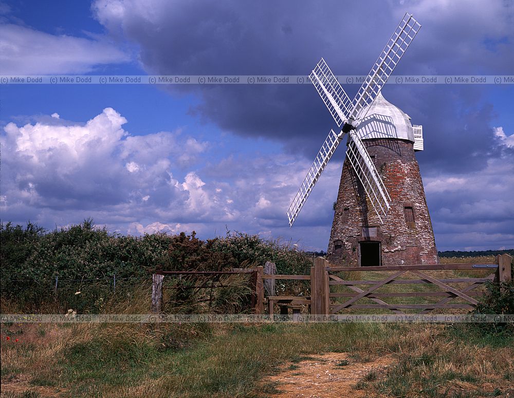 Halnaker windmill Sussex