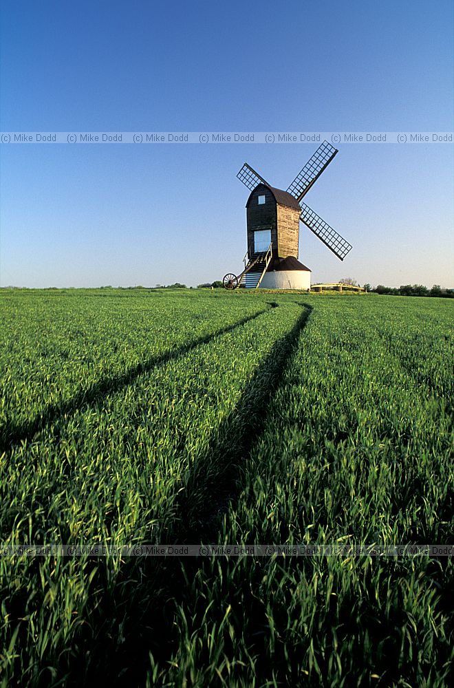 Pitstone post mill Buckinghamshire with growing crops