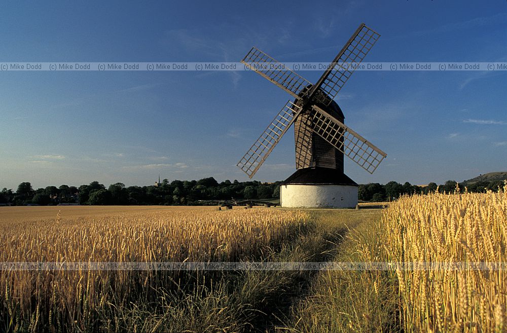 Pitstone post mill Buckinghamshire at harvest time