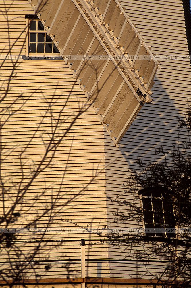 Shipley smock mill Sussex Kings Mill