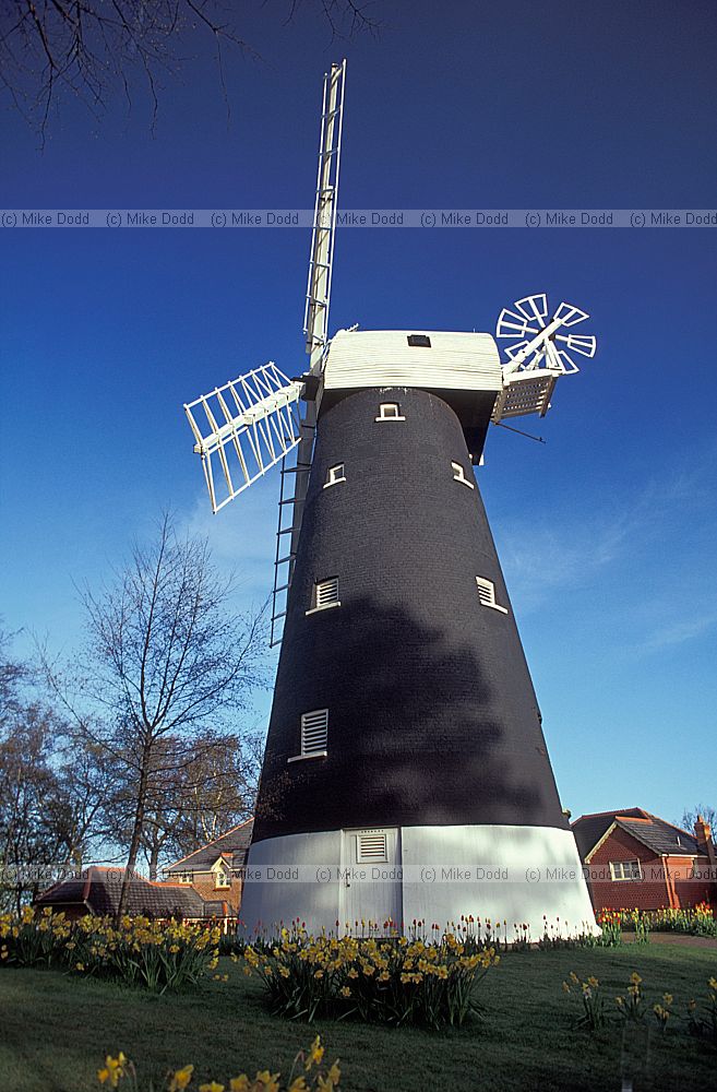 Shirley tower mill London