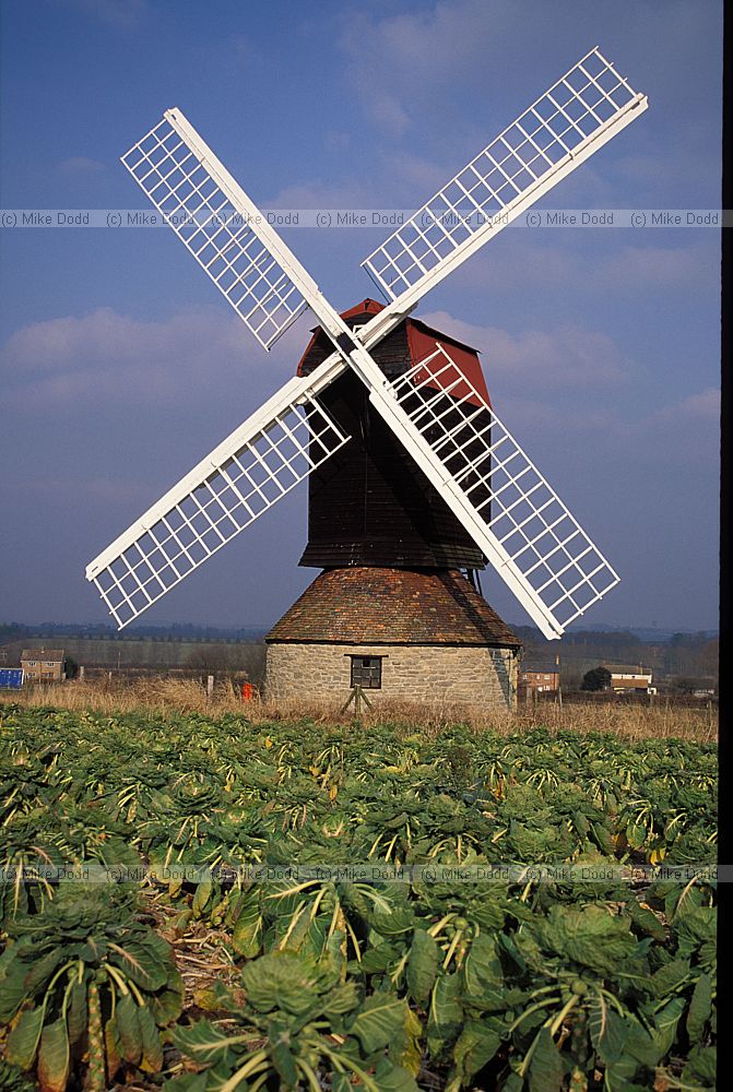 Stevington post mill Bedfordshire