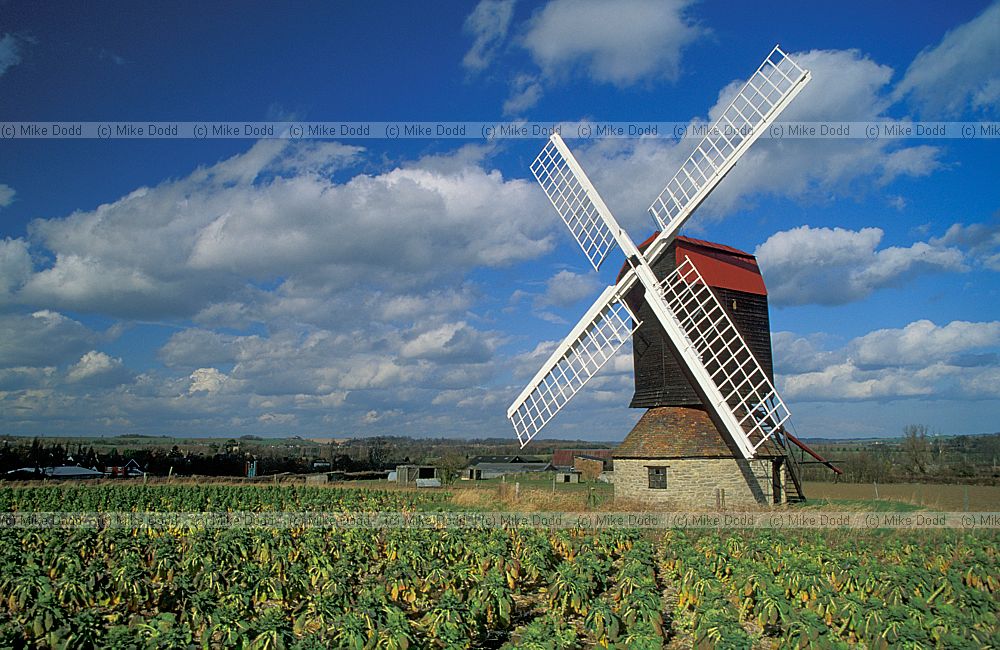 Stevington post mill Bedfordshire