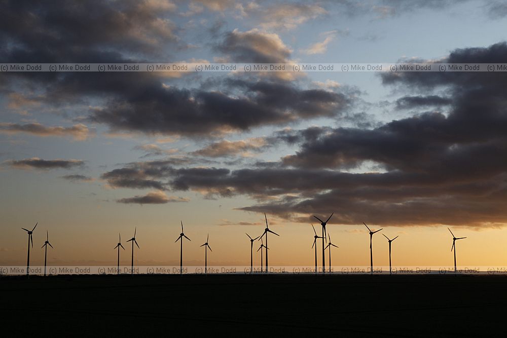 Windfarm sunset